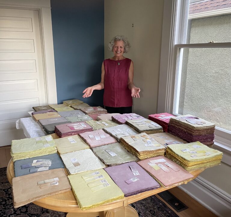 Plant Murmur in progress by Penelope Edgar