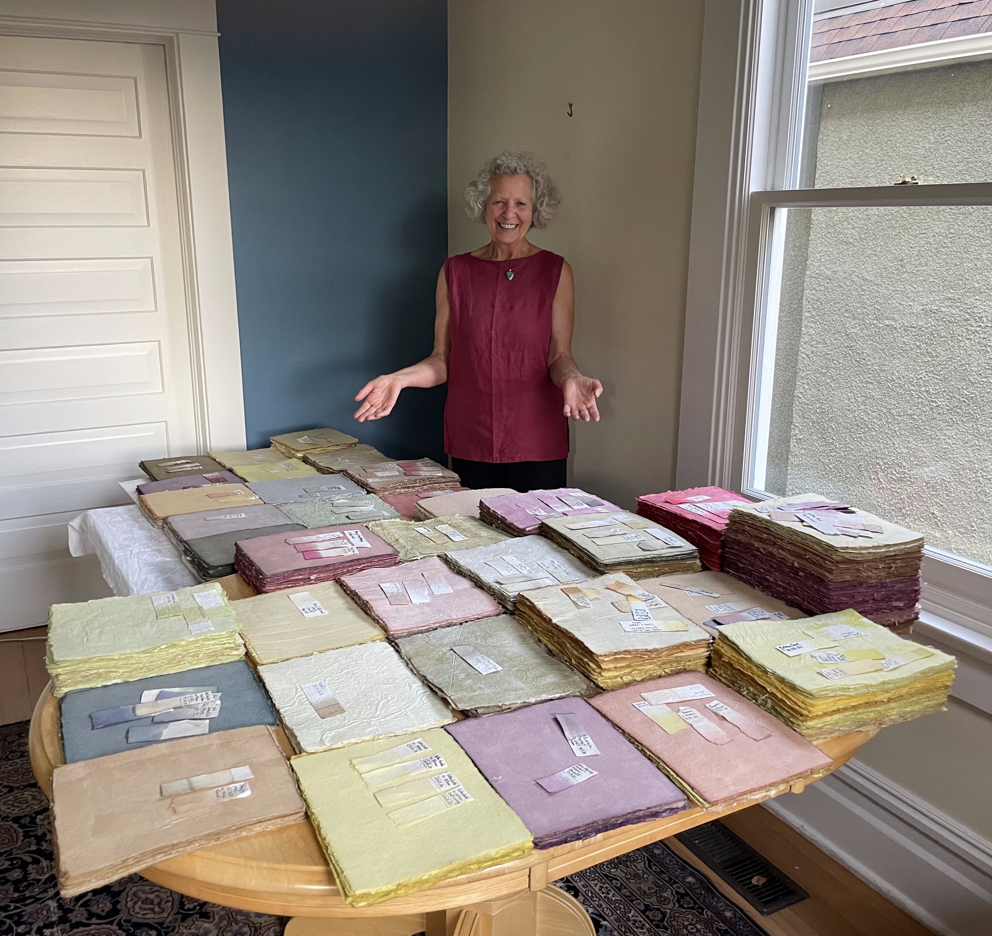 Plant Murmur in progress by Penelope Edgar