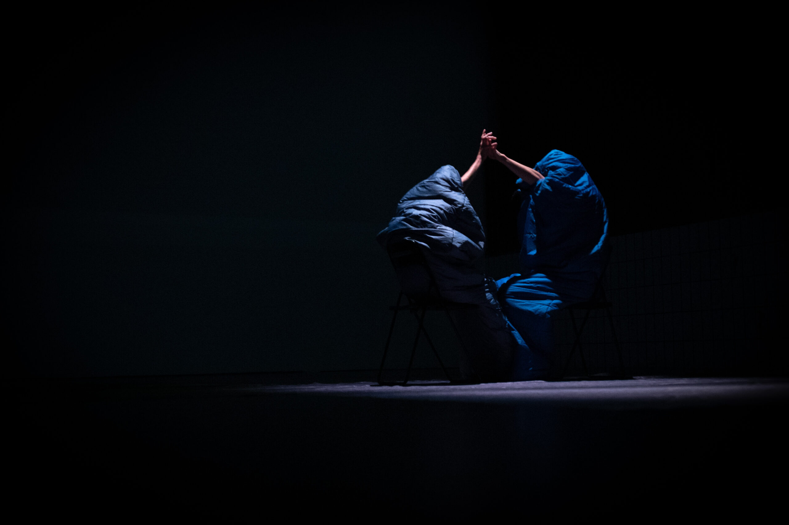 Skin Performance at PuSh Festival by Renae Shadler and Roland Walter